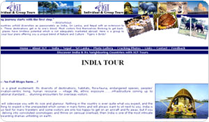 Travel Website Designer in Jaipur