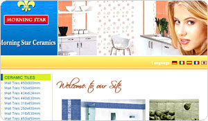 Hotel Website Designer Rajasthan