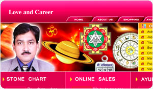 Webmaster in Jaipur